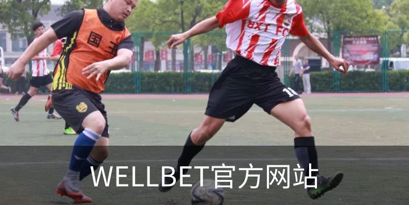 WELLBET官方网站简介